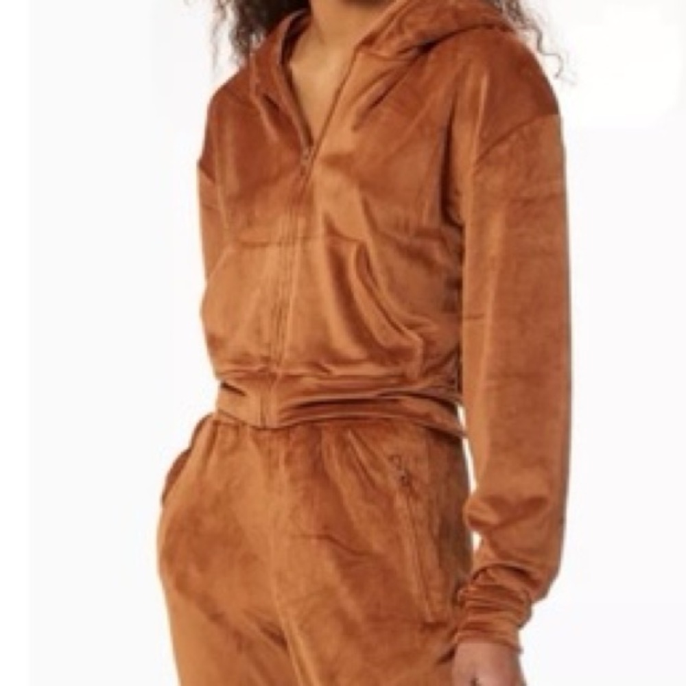 SKIMS CROPPED VELOUR HOODIE